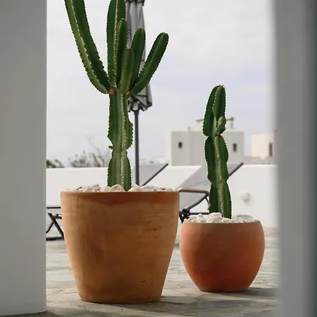 Ktima Mira Plaka (Naxos)
