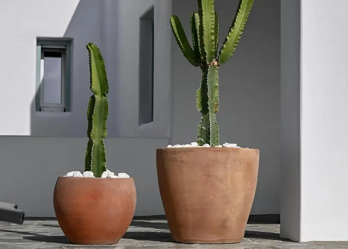 Ktima Mira Πλάκα